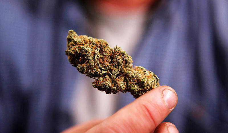 研究表明:大麻可能有效治疗癌症--置顶表情
